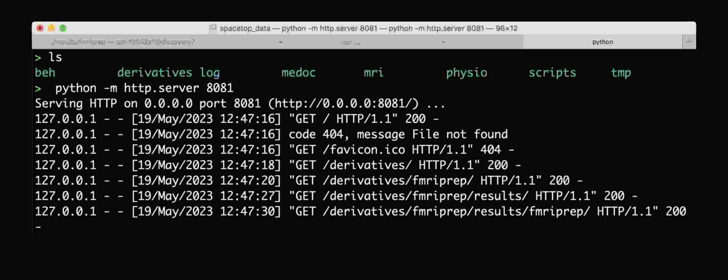 datalad-fmriprep-goodview-terminal_min.jpg